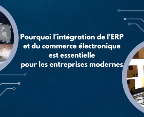 Integration - commerce electronique et ERP